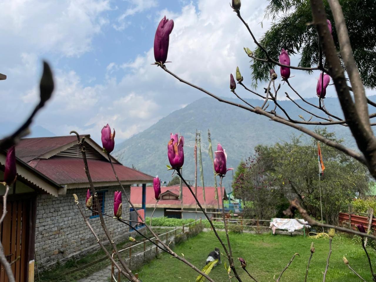 Appartamento Daragaon Retreat Pelling Esterno foto
